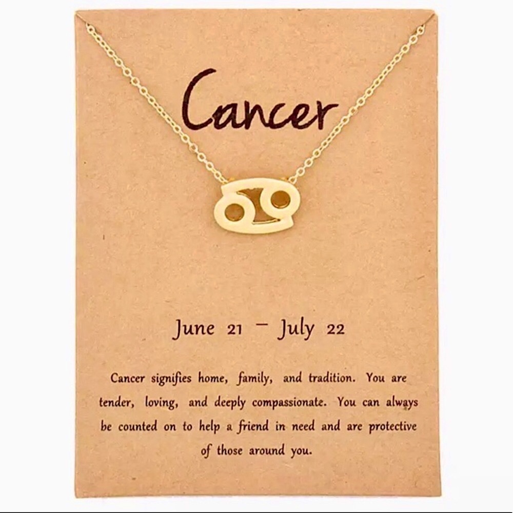 Minimalist Zodiac Sign Minimalist Charm Necklace - Picture 15 of 16
